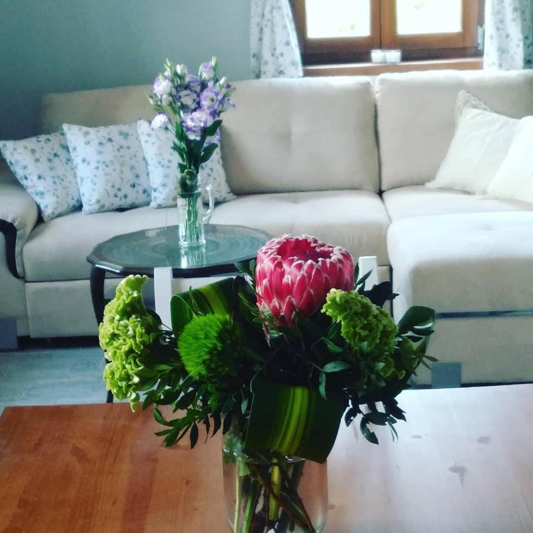 فيلا Casa Beata Lesencetomaj المظهر الخارجي الصورة
