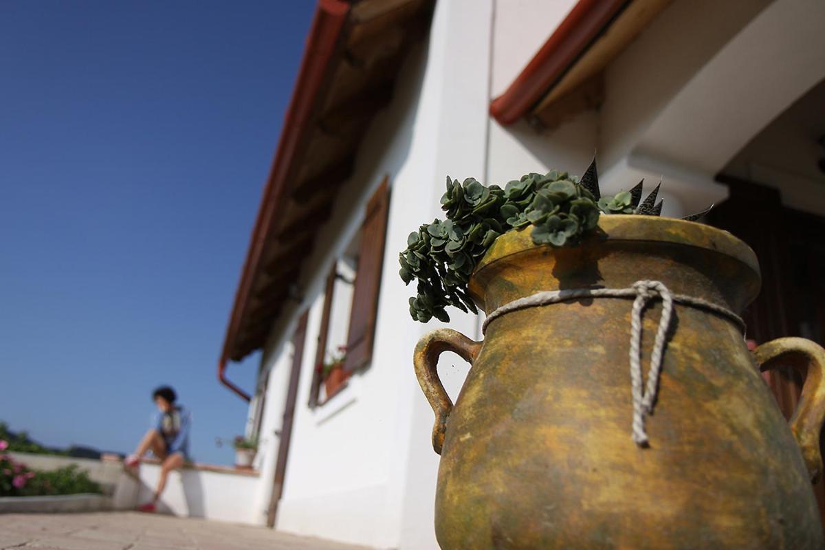 فيلا Casa Beata Lesencetomaj المظهر الخارجي الصورة