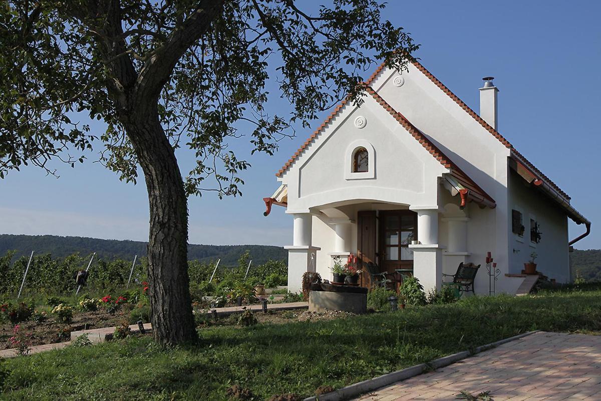 فيلا Casa Beata Lesencetomaj المظهر الخارجي الصورة