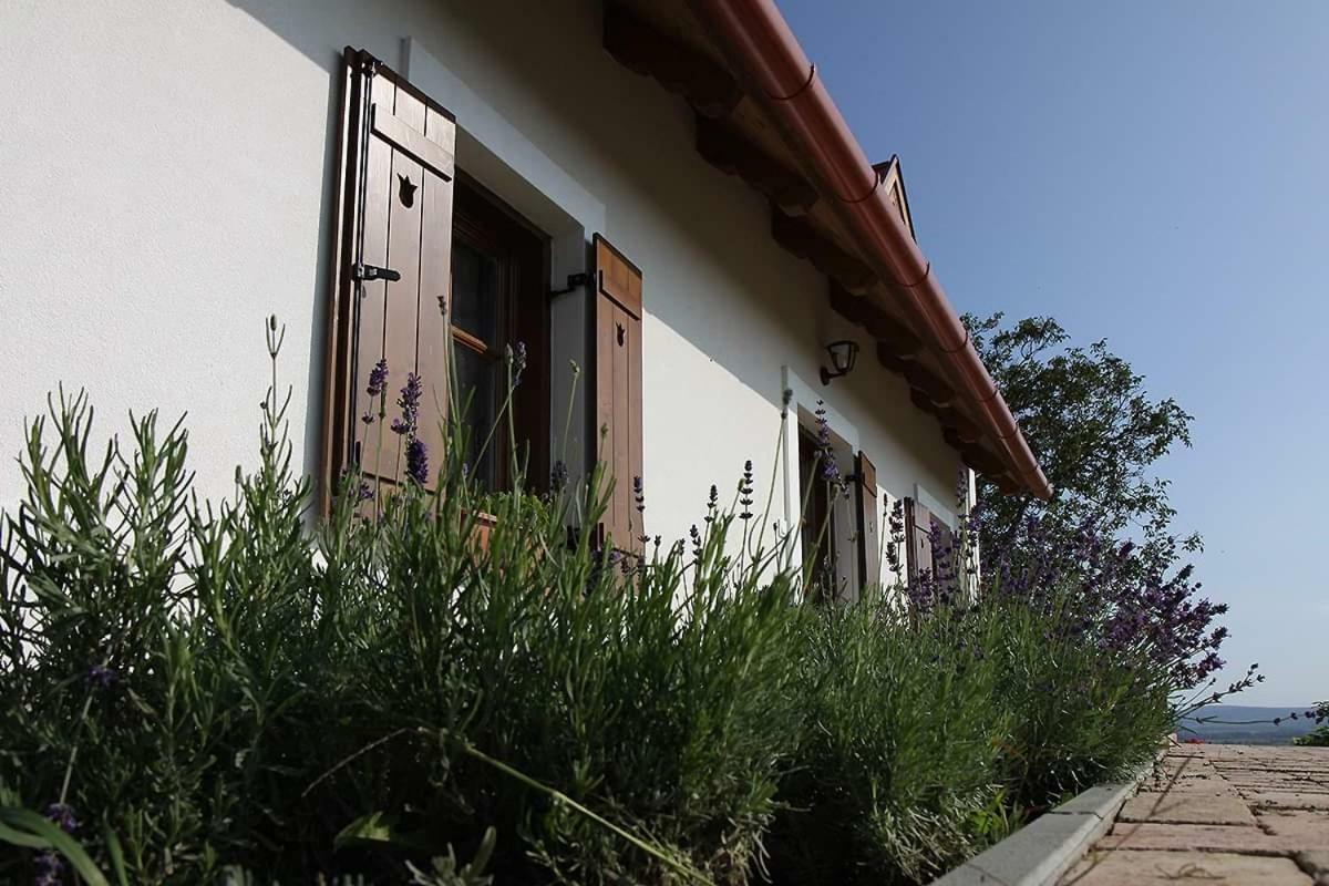 فيلا Casa Beata Lesencetomaj المظهر الخارجي الصورة